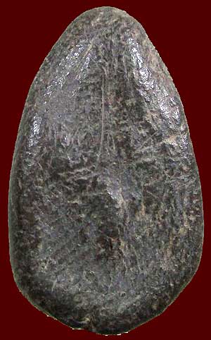 *เม็ดน้อยหน่า เนื้อดิน สุโขทัย*