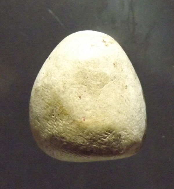 พระหลวงพ่อโต กรุ วัดอัมพวา กรุงเทพ