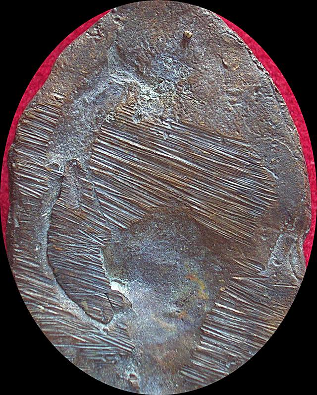 เหรียญหล่อรูปไข่หลวงปู่ทวด หลวงพ่อด่วน วัดบางนอน จ.ระนอง ปี 09