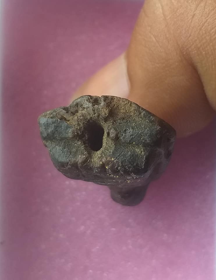 เนื้อว่าน วัดบางนอน ปี 2505 