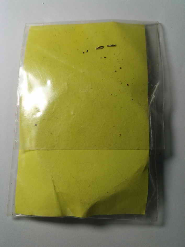 20 บาท พระพุทธโสธร เนื้อว่านก้นครบ วัดนครเนื่องเขต (ต้นตาล) ผมถ่ายภาพได้เพียงแค่หน้าเดียวนะครับ