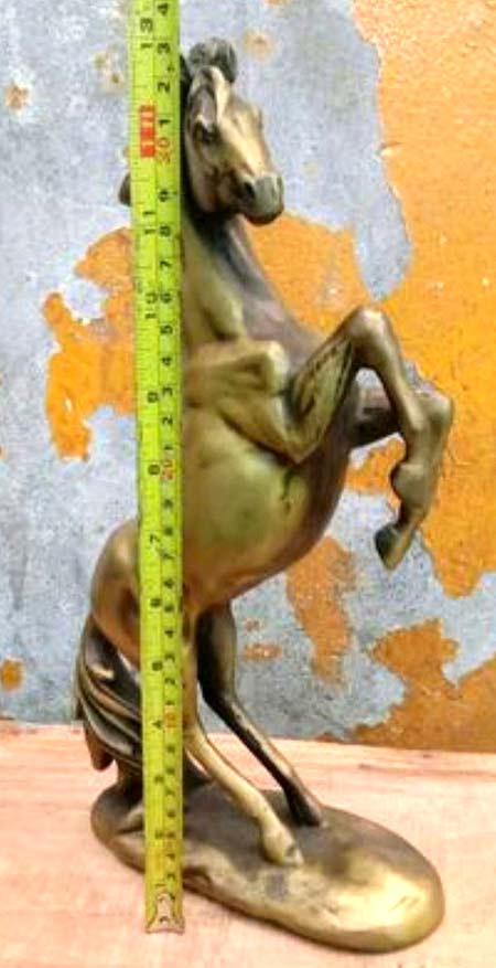 *ม้าพยศ เนื้อทองเหลือง*