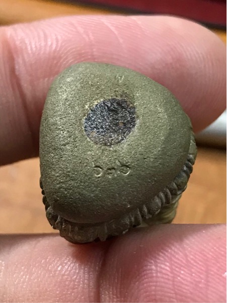 หลวงปู่ทวด เบ้าทุบ พ่อท่านพรหม วัดพลานุภาพ หมายเลข ๖๓๖ ปี 2553 เนื้ออัลปาก้า