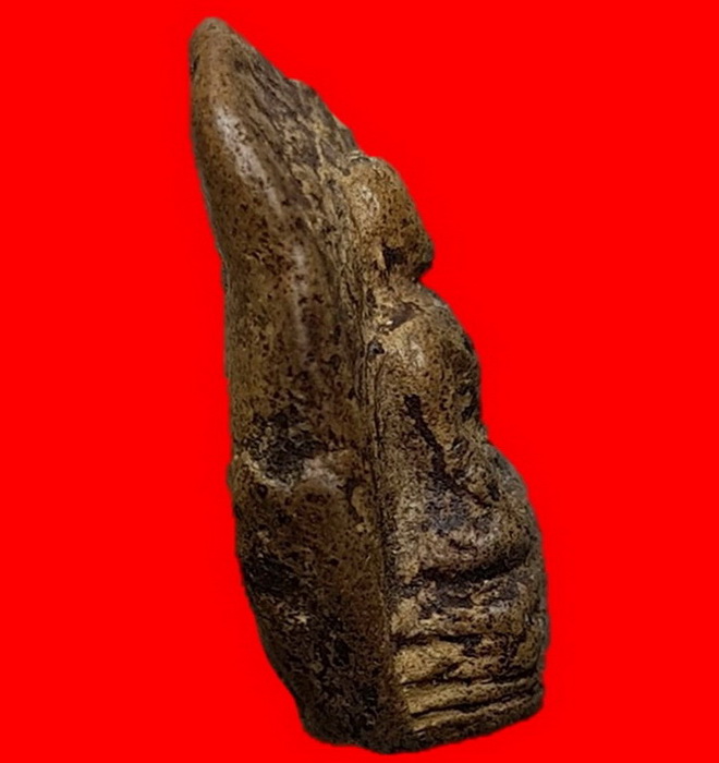 พระคงเขียวคราบเหลืองกรุเก่าเร้าใจร้กเก่าเดิมๆ พระสวยคมชัดสุดคลาสสิค บิ่นเดิมจากกรุตามภาพ