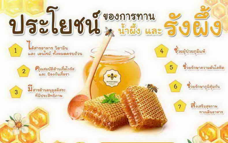 ชุดสุขภาพจาก HONEY BEE ส่งมอบความสุข อย่างสุขภาพดี กับ Healthy Set ราคาเพียง 160บ.
