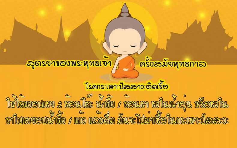 ชุดสุขภาพจาก HONEY BEE ส่งมอบความสุข อย่างสุขภาพดี กับ Healthy Set ราคาเพียง 160บ.