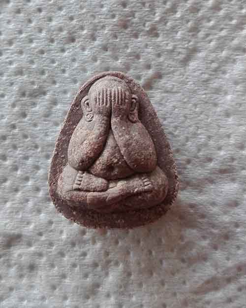 พระปิดตาสาลิกา หลวงปู่ทองคำ พิษณุโลก