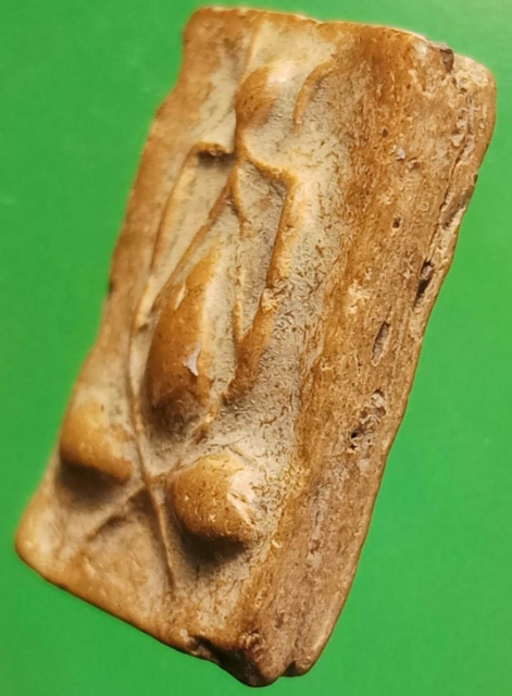 ปิดตาเนื้อดินหลังเรียบ หลวงปู่ทอง วัดราชโยธา