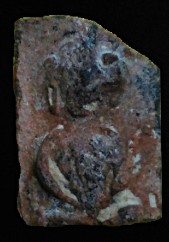 แบ่งปันพระแท้พระนาดูนกรุปี22พระแผงตัดหายากนาคปรกหูตาจมูกปากครบพิเศษเนื้อสวยเก่าถึงยุค