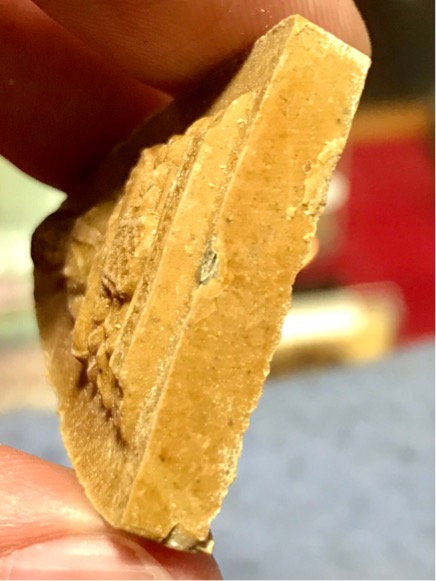 กลีบบัวใหญ่ หลวงปู่โต๊ะ วัดประดู่ฉิมพลี ปลุกเสก 3 ไตรมาส ซองเดิม