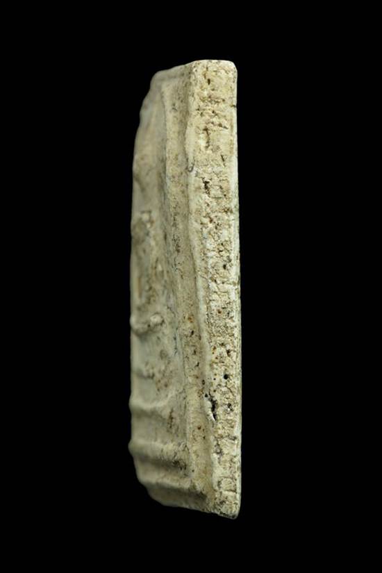 แขนกลม 100 ปี