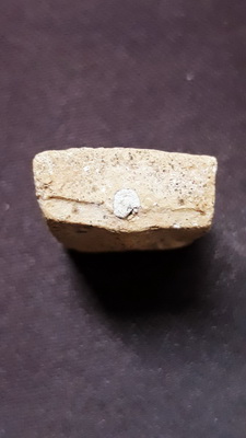 หลวงพ่อผาด กรุวัดดงตาล จ.ลพบุรี พิมพ์ขี่เสือ หลวงพ่อปานปลุกเสก สวยเดิมจากกรุ ผงเต็มพร้อมบัตรรับรอง