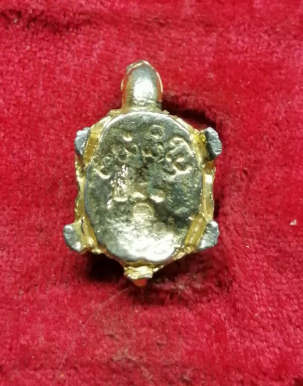 เต่าหลวงปู่สิม​ วัดถ้ำผาปล่องสวยๆครับ