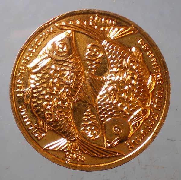 เหรียญปลาตะเพียนคู่ รุ่นแรก พระอาจารย์ทองดำ สนส.(วัด)ถ้ำตะเพียนทอง ลพบุรี
