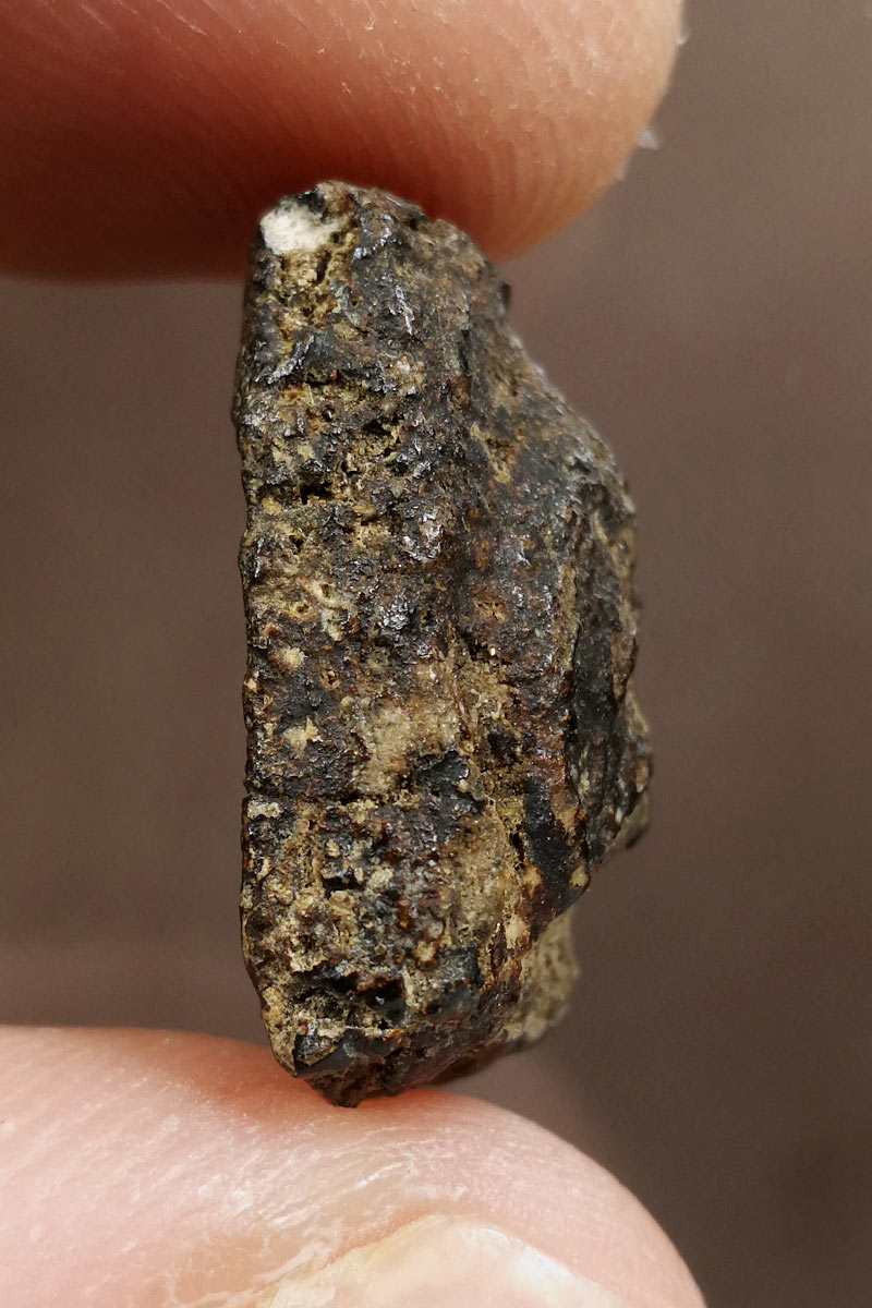 ปิดตาผง100ปี