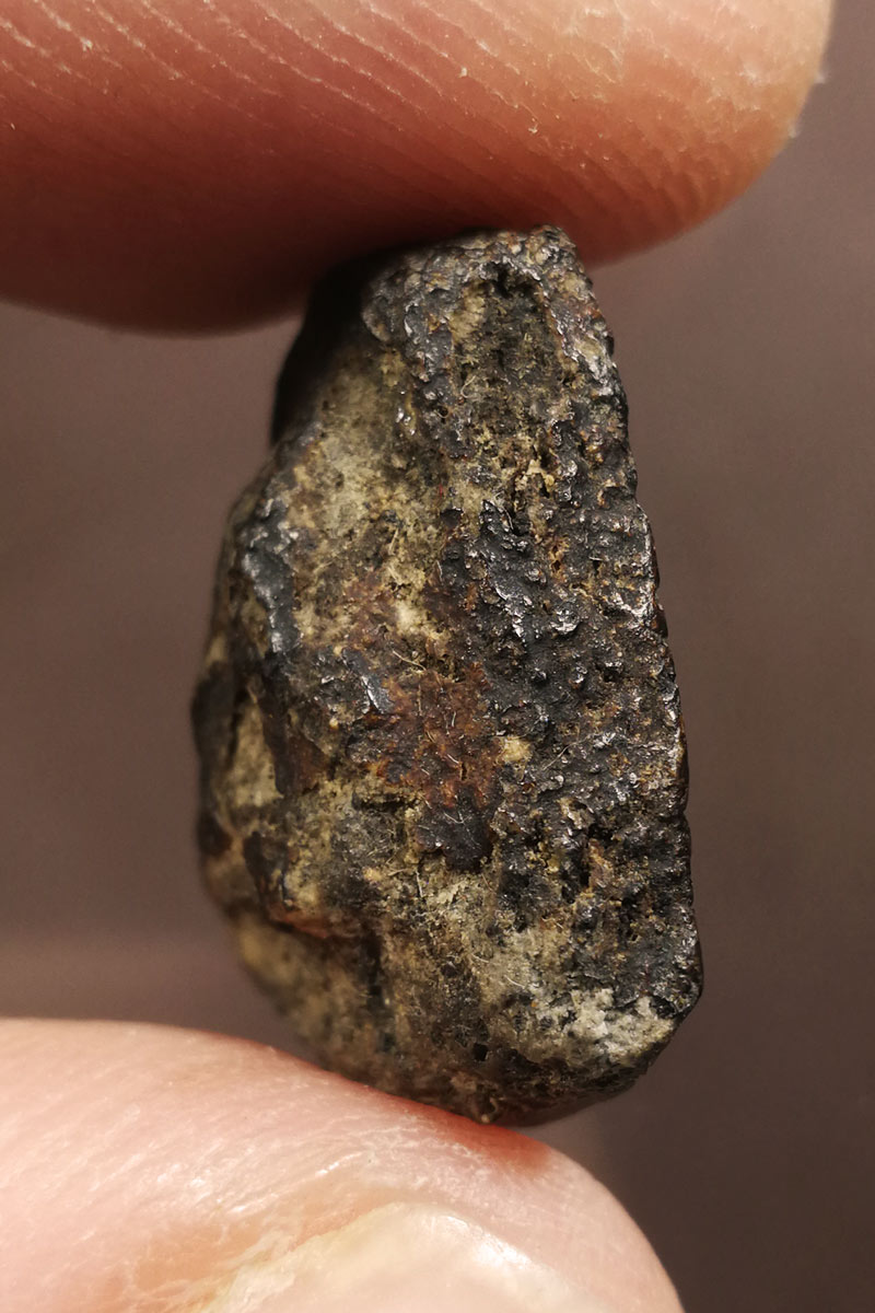 ปิดตาผง100ปี