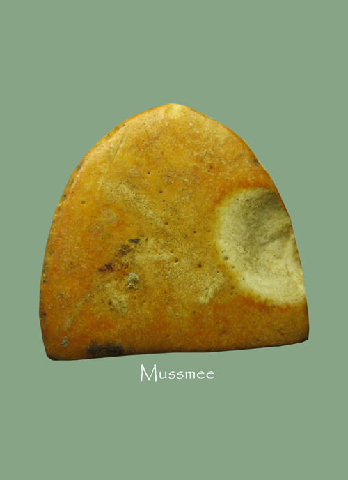 @@@ พระกรุวัดอัมพวา (พิมพ์พระสังกัจจายน์) พระสวยยยยยยยยยยยยย ### เคาะเดียว ### @@@