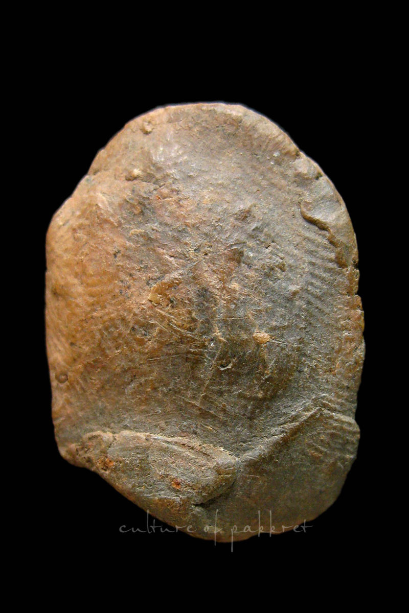 พระรอด กรุวัดโปรดเกศ จ.นนทบุรี (2305)