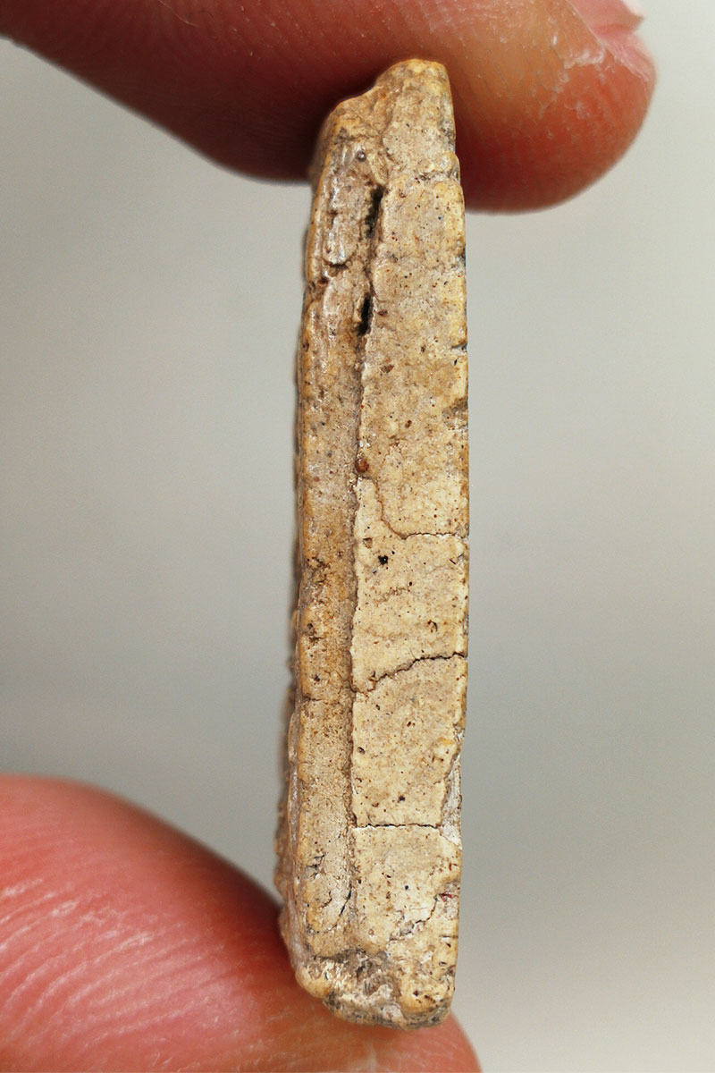 เกษไชโย นอกพิมพ์