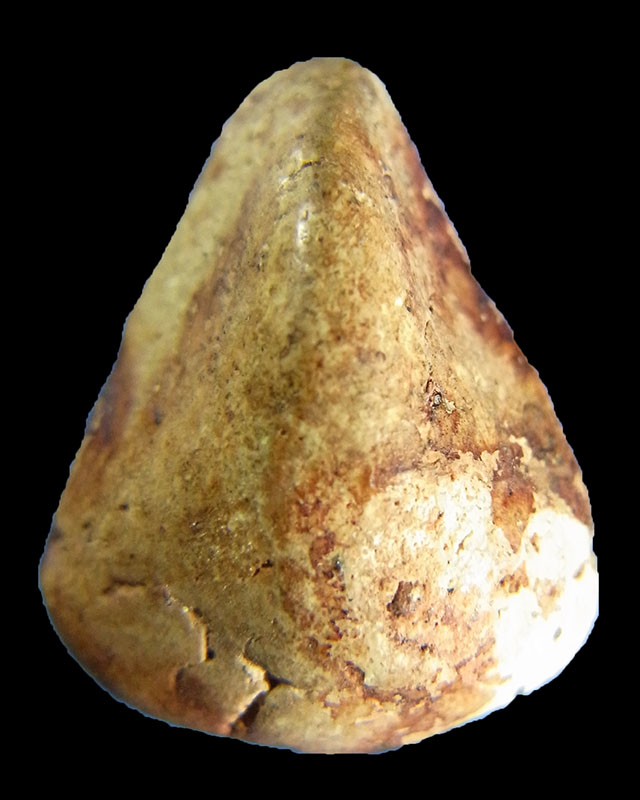 พระปิดตา พิมพ์แขนบ่วง หลังจีบ กรุวัดพระแก้ว สุดยอดพระพุทธคุณเมตตามหานิยมสุดสุด