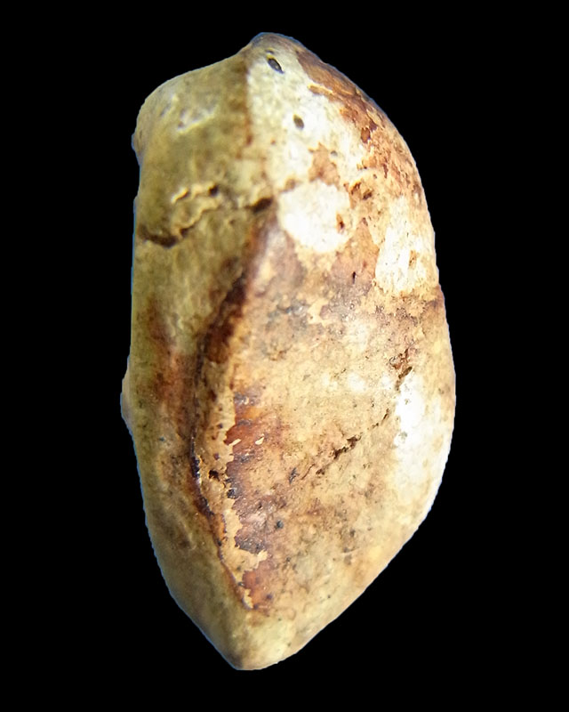 พระปิดตา พิมพ์แขนบ่วง หลังจีบ กรุวัดพระแก้ว สุดยอดพระพุทธคุณเมตตามหานิยมสุดสุด