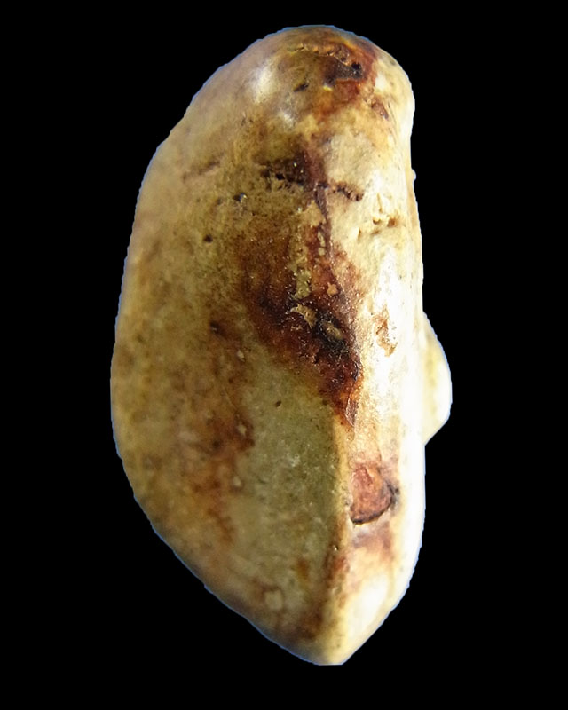 พระปิดตา พิมพ์แขนบ่วง หลังจีบ กรุวัดพระแก้ว สุดยอดพระพุทธคุณเมตตามหานิยมสุดสุด