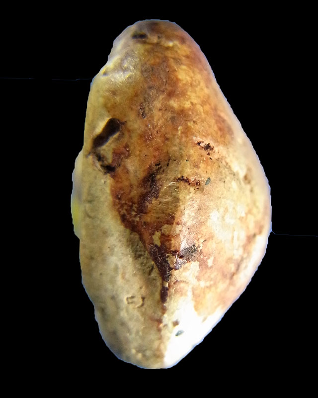 พระปิดตา พิมพ์แขนบ่วง หลังจีบ กรุวัดพระแก้ว สุดยอดพระพุทธคุณเมตตามหานิยมสุดสุด