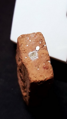 2.หลวงพ่อผาด กรุวัดดงตาล พิมพ์ขี่เสือ หลวงพ่อปานปลุกเสก สวยหนาเดิมจากกรุ ผงเต็มพร้อมบัตรรับรอง