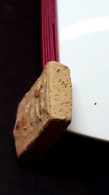 3.หลวงพ่อผาด กรุวัดดงตาล พิมพ์ขี่สิงห์ หลวงพ่อปานปลุกเสก สวยเดิมจากกรุ ผงเต็มพร้อมบัตรรับรอง