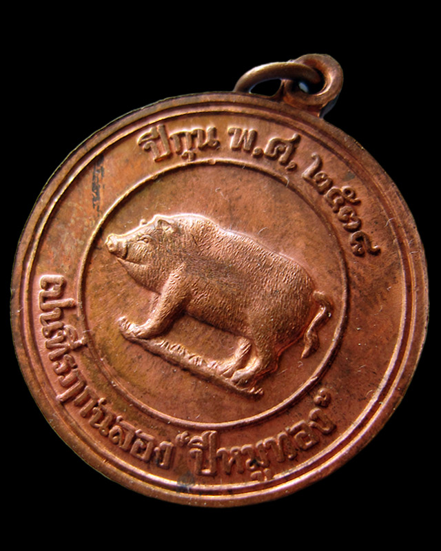 เหรียญหมูสองหน้ากรรมการ "ที่ระลึกปีหมูทอง" หลวงพ่อสาคร มนุญโญ วัดหนองกรับ จ.ระยอง พ.ศ.2538