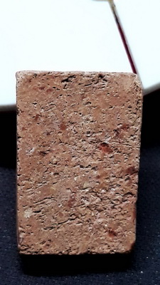 หลวงพ่อผาด กรุวัดดงตาล พิมพ์ขี่สิงห์ หลวงพ่อปานปลุกเสก สวยเดิมจากกรุ ผงเต็มพร้อมบัตรรับรอง