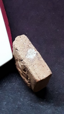 หลวงพ่อผาด กรุวัดดงตาล พิมพ์ขี่สิงห์ หลวงพ่อปานปลุกเสก สวยเดิมจากกรุ ผงเต็มพร้อมบัตรรับรอง