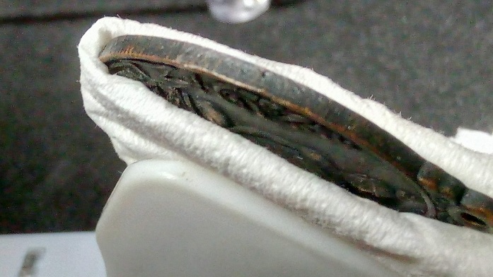 เหรียญหลวงปู่โตีะรุนเยือนอินเดีย ปี2519