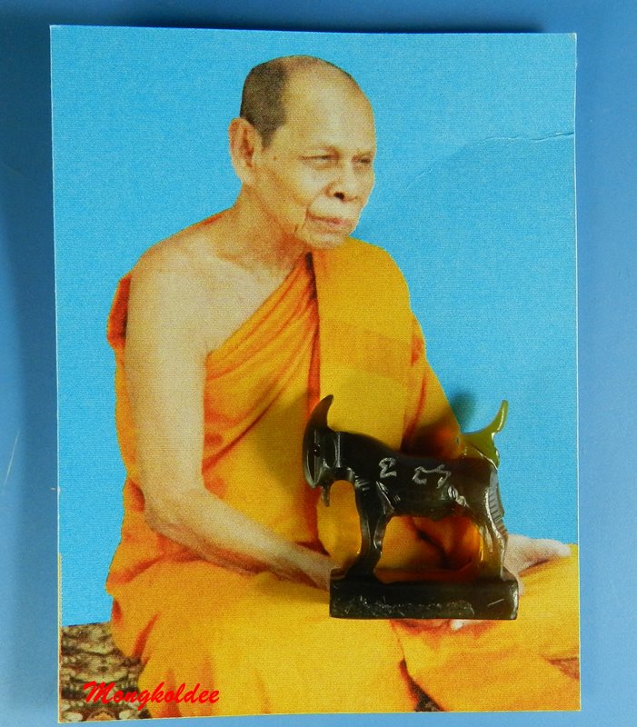 แพะมหาเสน่ห์ แกะจากเขาควาย สีน้ำผึ้งเข้ม หลวงพ่อสิน วัดละหารใหญ่ จ.ระยอง No.32