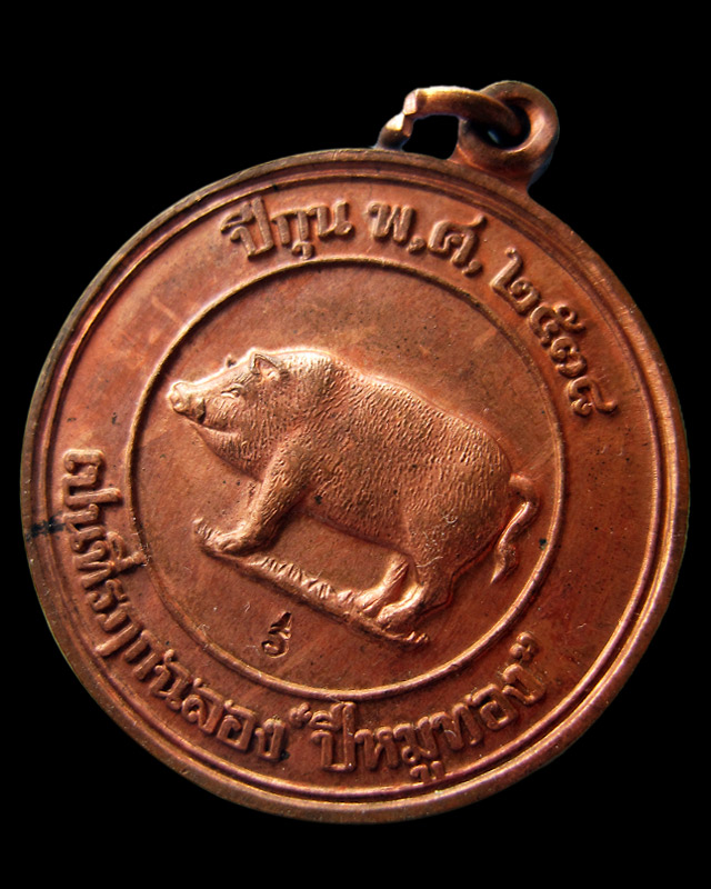 เหรียญหมูสองหน้ากรรมการ "ที่ระลึกปีหมูทอง" หลวงพ่อสาคร มนุญโญ วัดหนองกรับ จ.ระยอง พ.ศ.2538