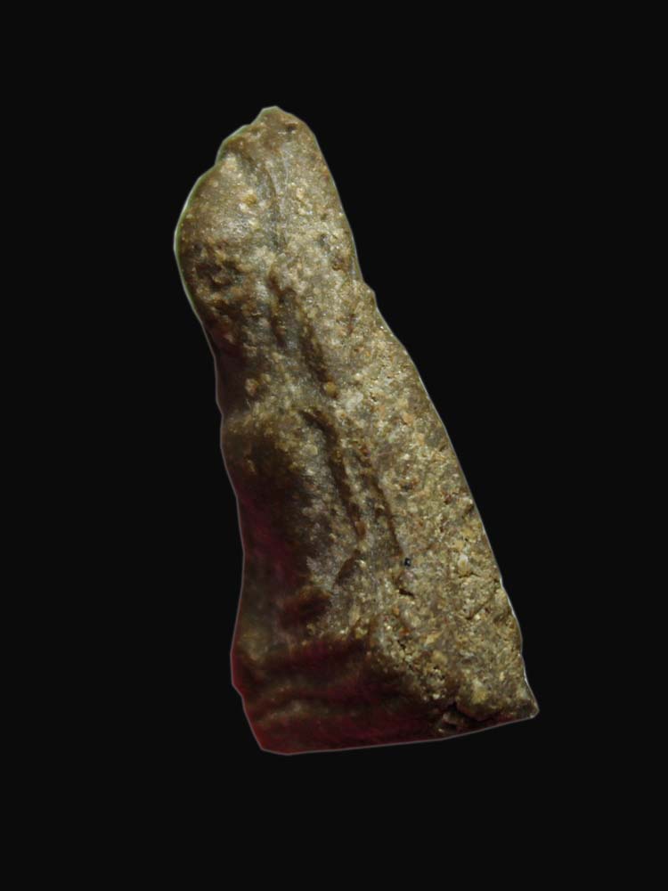 พระผงสุพรรณ เนื้อผงว่าน สภาพสวยๆ ไม่ทราบที่ ราคาเบาๆ