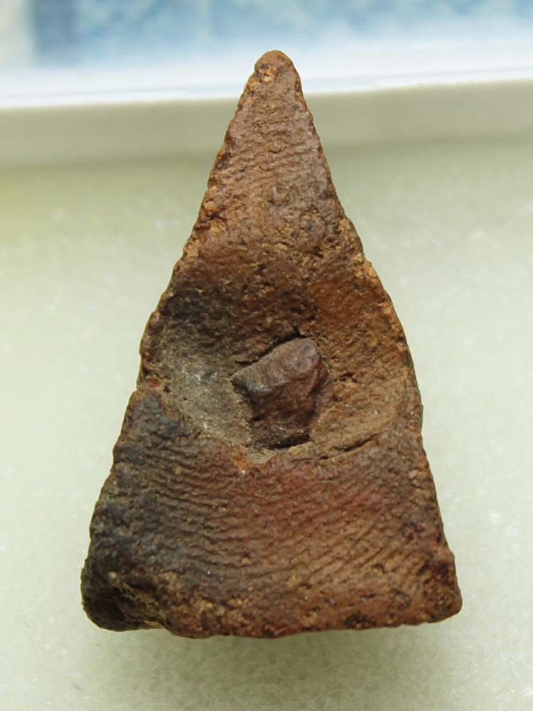 พระนางพญา เนื้อดินเก่า ไม่ทราบที่ 