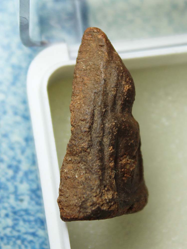 พระนางพญา เนื้อดินเก่า ไม่ทราบที่ 