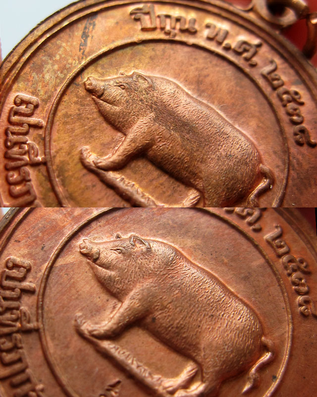 เหรียญหมูสองหน้ากรรมการ "ที่ระลึกปีหมูทอง" หลวงพ่อสาคร มนุญโญ วัดหนองกรับ จ.ระยอง พ.ศ.2538