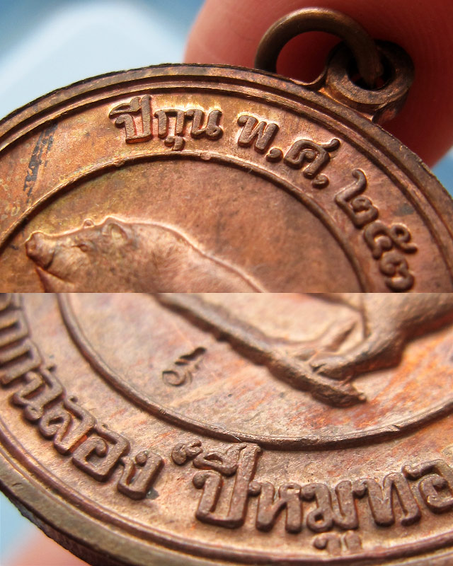 เหรียญหมูสองหน้ากรรมการ "ที่ระลึกปีหมูทอง" หลวงพ่อสาคร มนุญโญ วัดหนองกรับ จ.ระยอง พ.ศ.2538