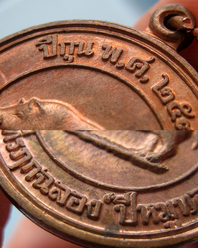 เหรียญหมูสองหน้ากรรมการ "ที่ระลึกปีหมูทอง" หลวงพ่อสาคร มนุญโญ วัดหนองกรับ จ.ระยอง พ.ศ.2538