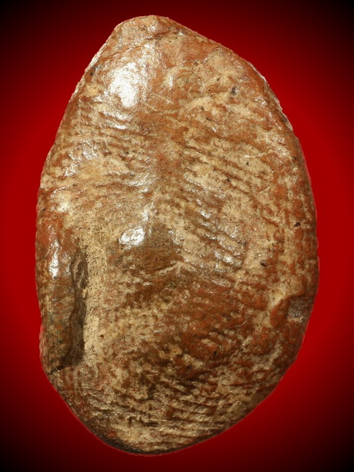 พระพิจิตร มารวิชัย