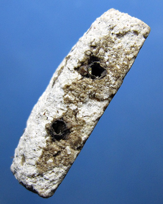 หลวงปู่นาค วัดระฆัง พิมพ์อกรุ่องฐานแซม หูประบ่า เนื้อเปิดนิดหน่อย 