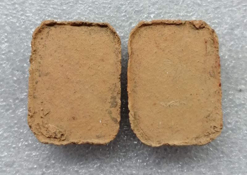 พระเนื้อดินขี่ปลาหลวงพ่อปาน​ หลวงพ่อฤาษีลิงดำปลุกเสกสวยๆครับ