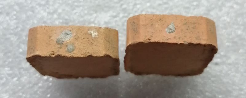 พระเนื้อดินขี่ปลาหลวงพ่อปาน​ หลวงพ่อฤาษีลิงดำปลุกเสกสวยๆครับ