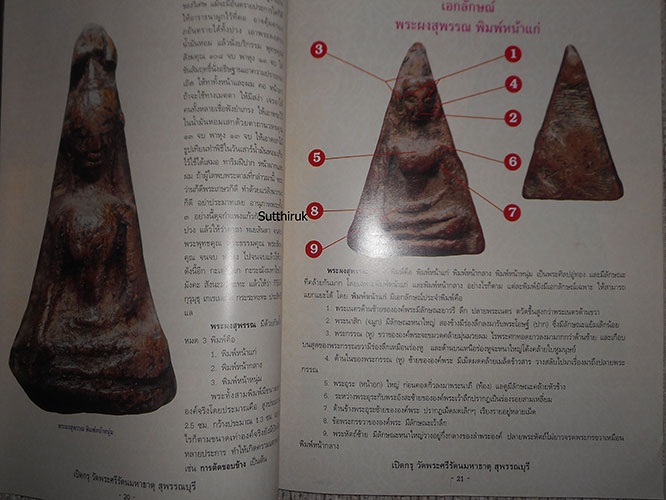 หนังสือ เปิดกรุ วัดพระศรีรัตนมหาธาตุ จ.สุพรรณบุรี