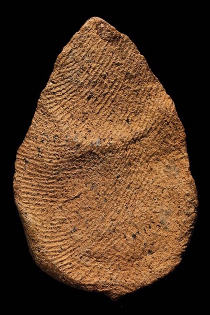 พระกรุวัดลิงขบ