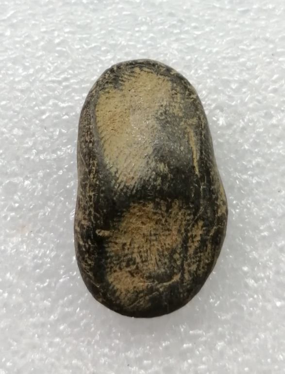 นางกรุดอนลานสวยๆครับ