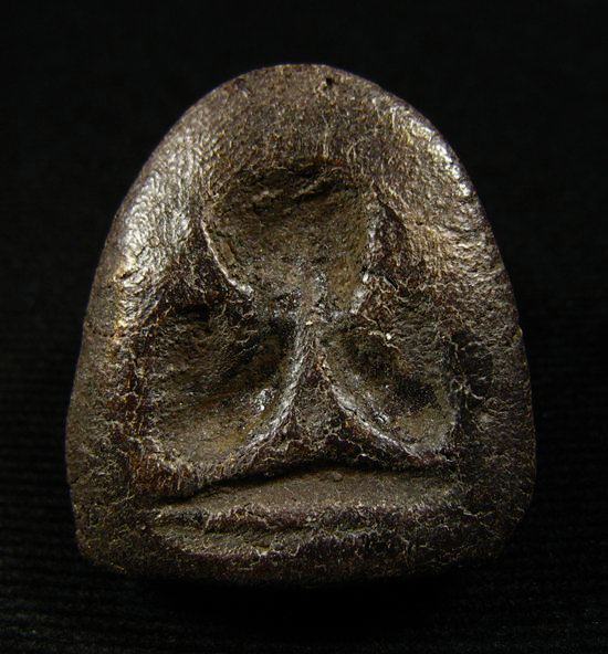 พระปิดตา เนื้อว่านหลังแบบ 