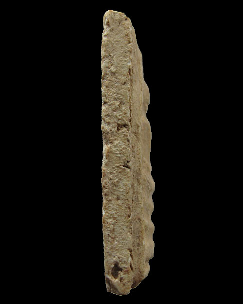 พระสมเด็จ หลวงพ่อลำภู วัดใหม่อมตรส บางขุนพรหม กทม.